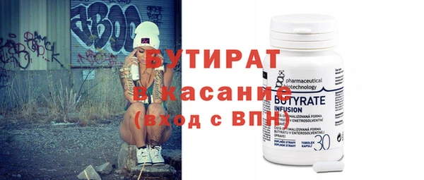 сатива Няндома