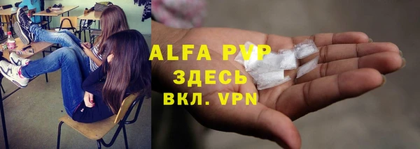 ешки Арсеньев
