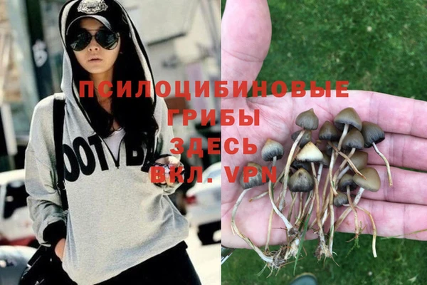 тгк Баксан